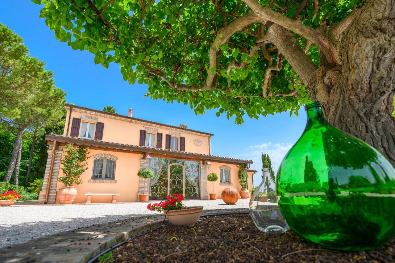 Il Poggianino Bed & Breakfast Poggio Berni Luaran gambar